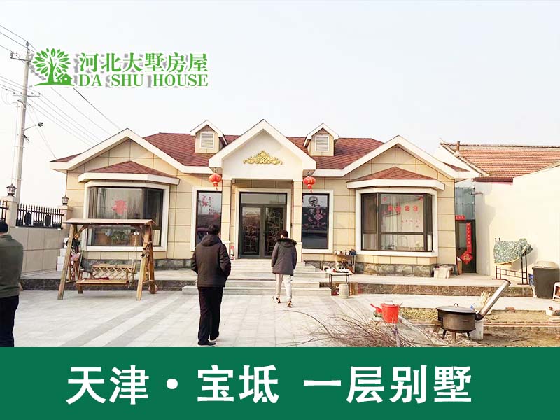 农村简约轻钢别墅养老